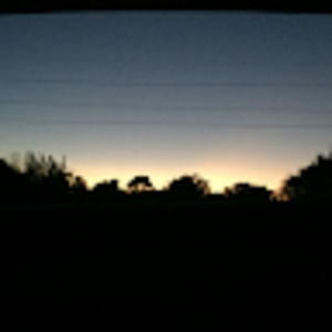 Meet your Posher, Evie